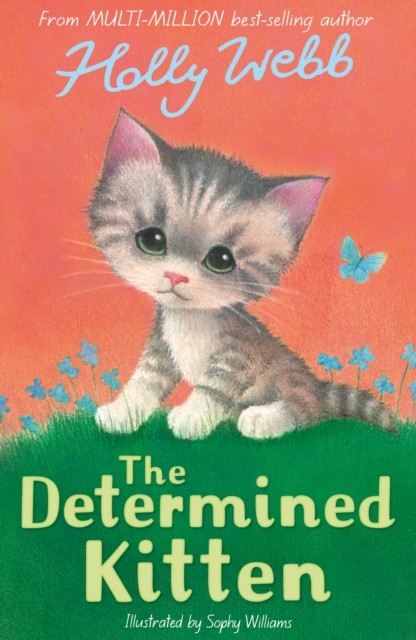 Determined Kitten - Image 5