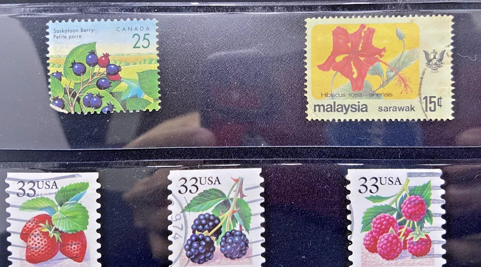Lot of 8 Vintage Stamps – USA Fruit, Canada, Malaysia, NZ, Finland Flowers - Image 2 of 4