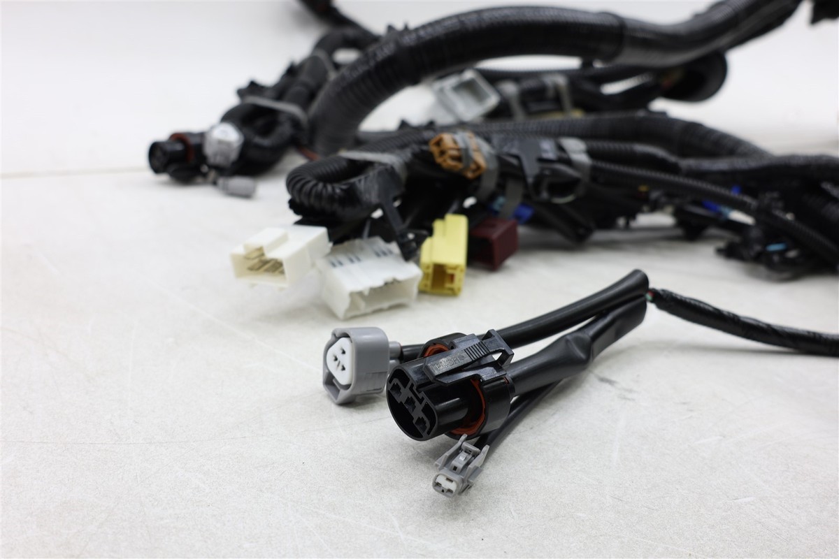 NEW OEM Engine Bay Wiring Harness 240129BS0C for Nissan