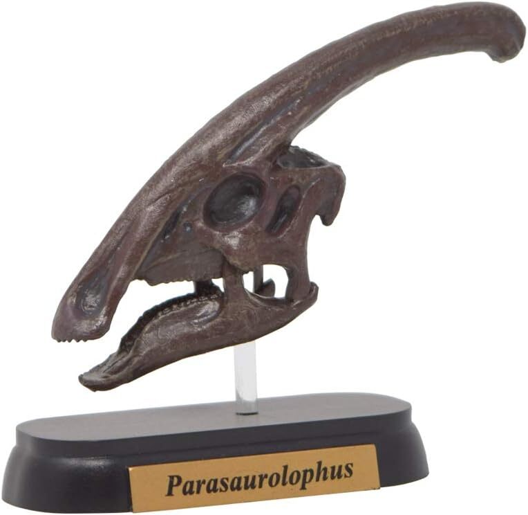New Favorite Dinosaur Parasaurolophus Skull Mini model FDW-504