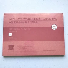 10.2 x 7" BAOHONG  Watercolor Paper 100%Cotton 20 Sheets