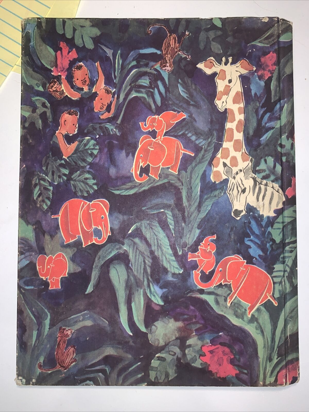 Picture 5 of 5