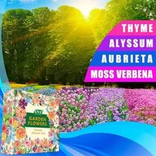 Ground Cover Plant Seeds Collection - 31,000+ Mix of pink blue purple 