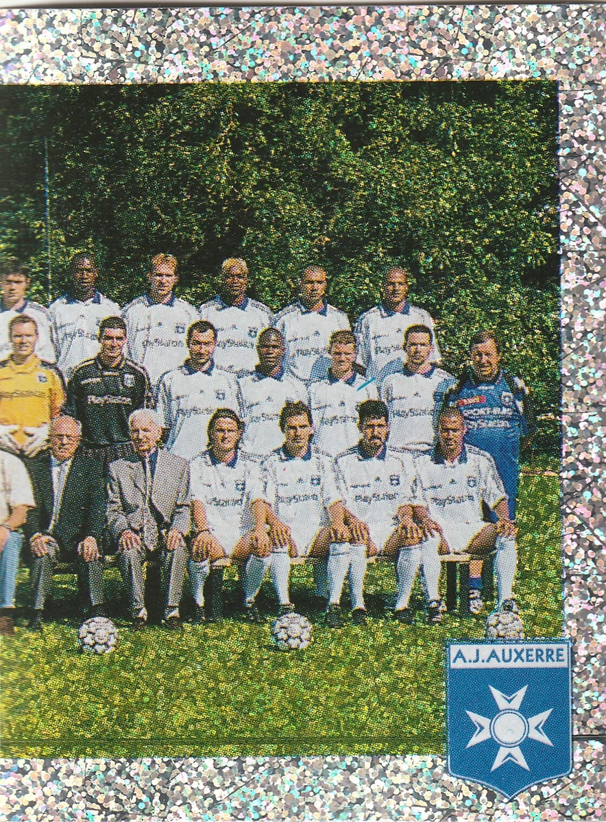 Vignettes Panini Euro 2008 équipe Suisse Complète - Occasion Comme Neuves