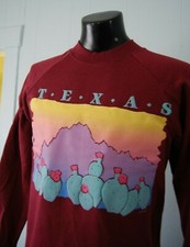 Vintage Texas Sweatshirt Unworn Soft Thin Indie NOS Cactus Sunset Crewneck
