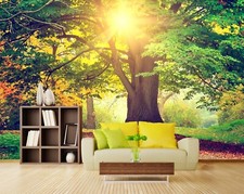 3D Sonnenschein Groß Baum Q1376 Tapete Wandgemälde Fototapete Selbstklebend Kay
