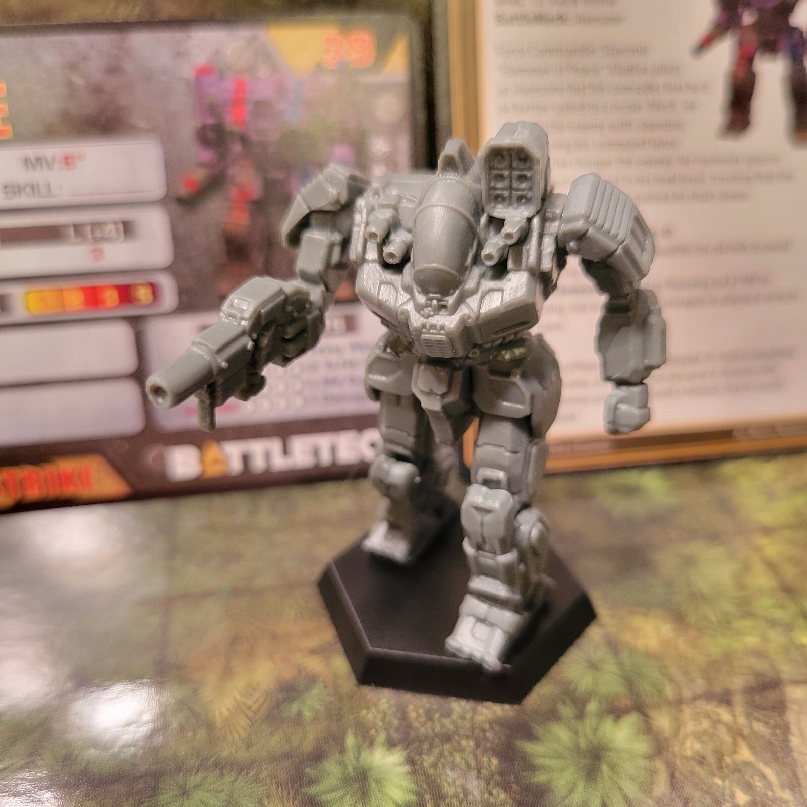 Picture 4 of 5