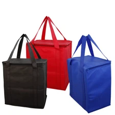 Non-Woven Poly Cooler Tote Bag, Lunch Sack, Soft Sided Picnic Cooler