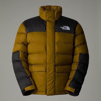 NEW The North FaceM LIMBARA INSULATED JACKET - Winterjacke - moss green