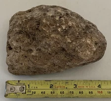 Large Pumice Volcanic Stone for Terrarium/Rock Garden/Collection - Floats!