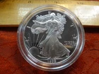 1999-P United States Proof Silver Eagle 1 Oz 0.999 Silver Coin - No Box/COA