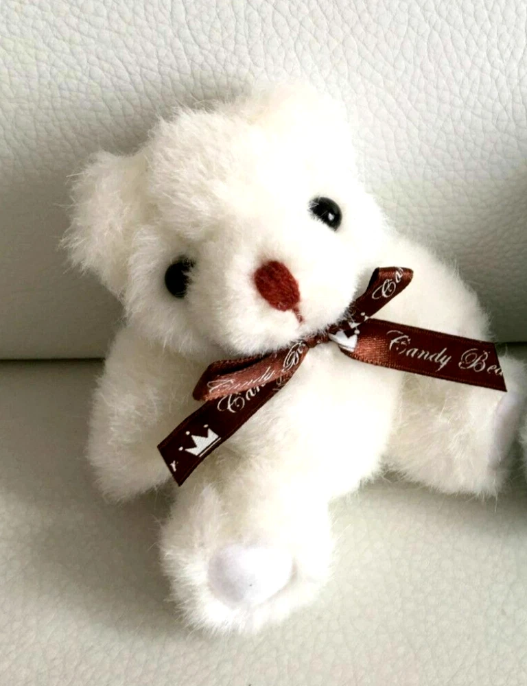 Mini ours en best sale peluche 5 cm