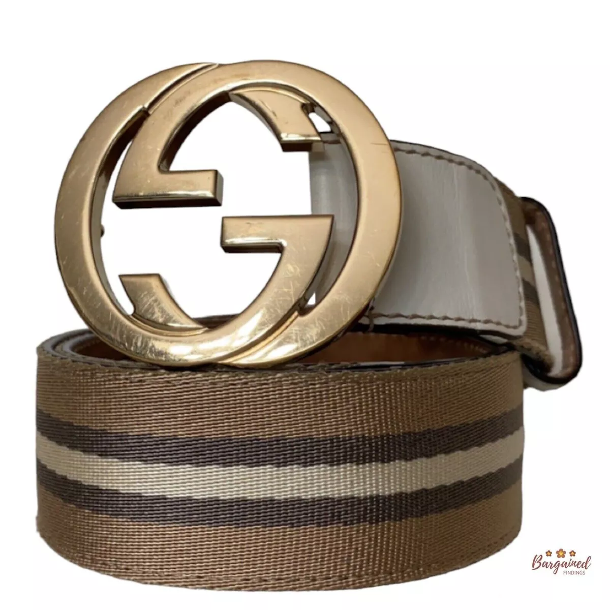 Gucci Web Belt with G Buckle