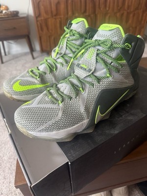 Nike Lebrons 12 dunkman size 12.5