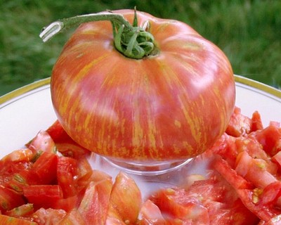  10  Tomatensamen VINTAGE WINE FLEISCHTOMATE  Samen  Sämereien Tomaten
