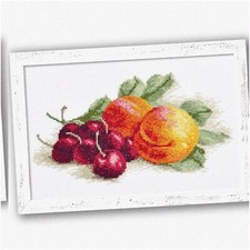 Fruitful Stitches: Cherries and Peaches DIY Home Decor Kit for Creative Adults
