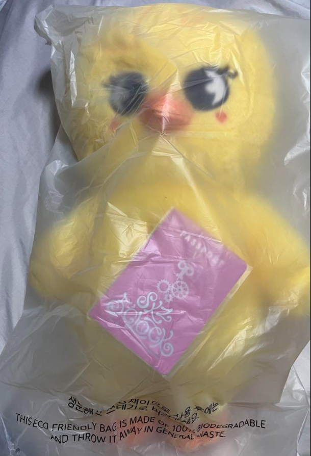 Stray Kids BokAri SKZOO Official Plush Doll H 60cm Teddy Ver 5