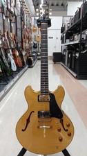 Stafford FES-1200 Hollowbody Electric Guitar