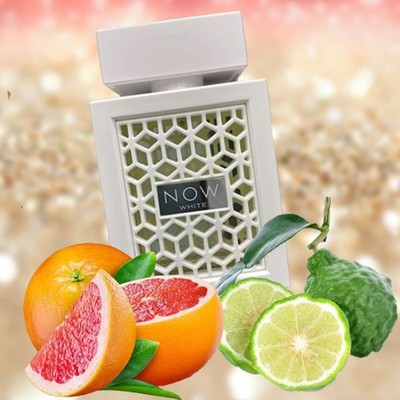 RAVE Now White 3.4 oz Eau De Toilette Spray Long Lasting Fragrance for Unisex