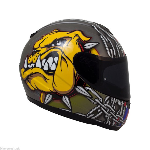 full face dog helmet