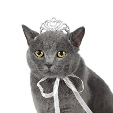 Lovelyshop Pet Series Classic Petal Rhinestone Dog/Cat Tiara Crown for Costume M
