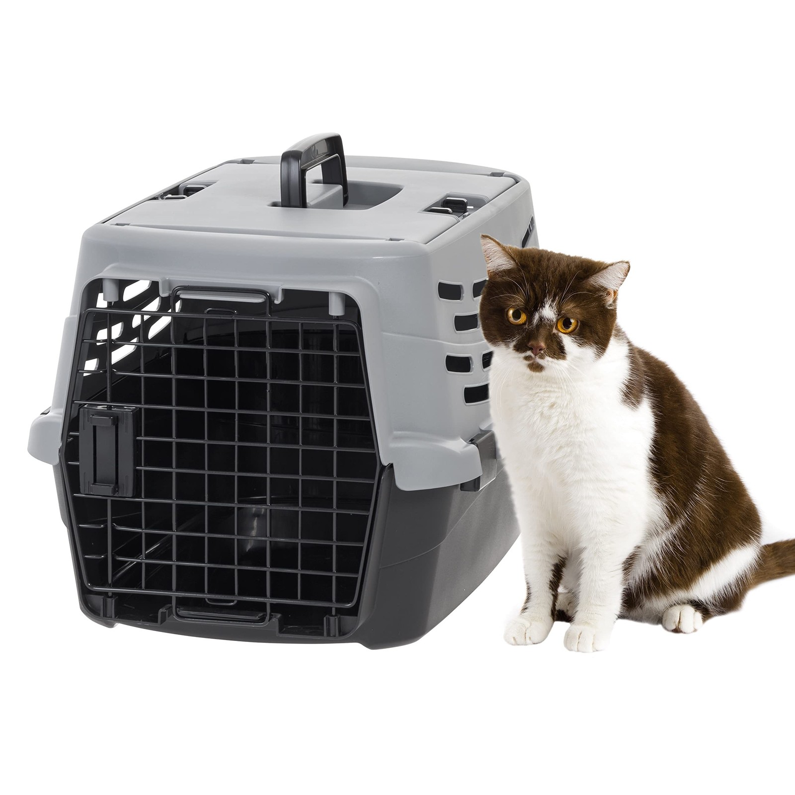 IRIS USA 23 Inch Hard-Sided Pet Carrier with Dual Front Doors for Cats and Small Dogs