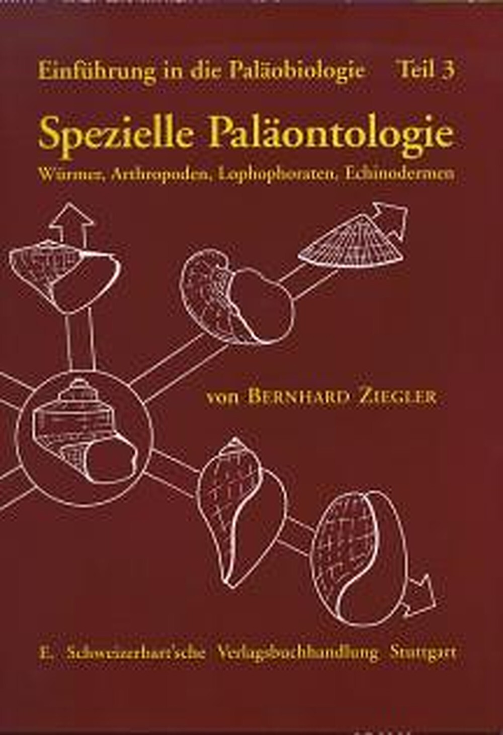 Thumbnail - Bernhard Ziegler / Einführung In Die Paläobiologie / Spezielle