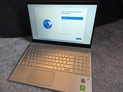 HP Pavilion 15-cs3153ng 15,6'' i5 10.Gen 8GB RAM 512GB SSD M.2 SSD Win11
