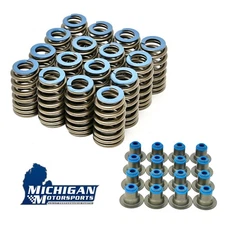 Michigan Motorsports Gen V .550" Valve Springs w/ Seals 2014+ L83 L86 LT1 L84