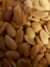 Georgia Peanuts Dry Roasted UNSALTED Grown to Organic Standards 2024 Crop FRESH!