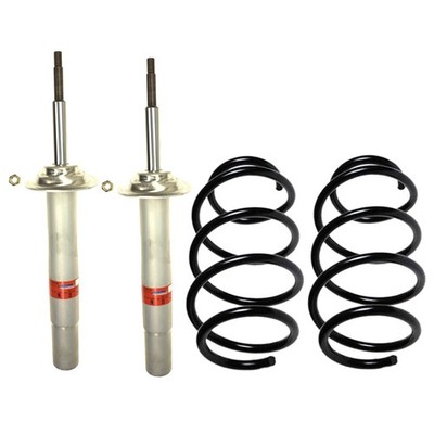 Sachs Front Suspension Struts & Lesjofors Coil Springs Kit for E39 540i Wagon