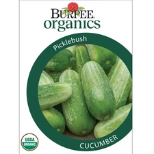 Burpee Organic Picklebush Cucumber, Annual Vegetable Seed, Full Sun