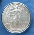 2020 American Silver Eagle Mint Condition With Capsule