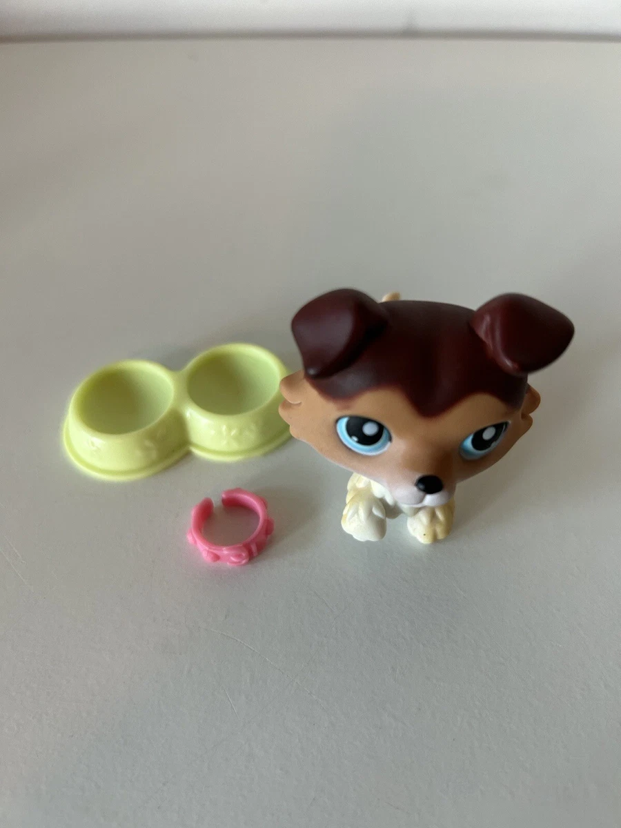 Littlest pet shop clearance 58