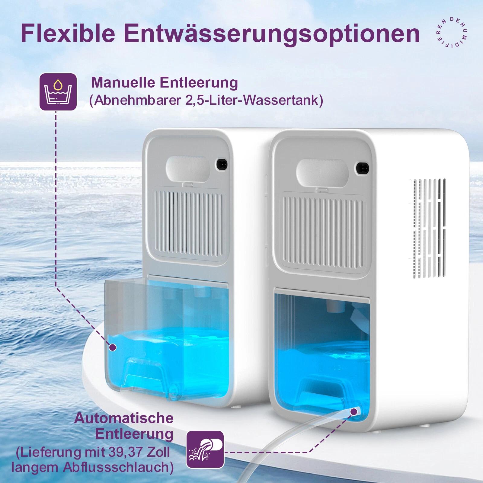 Bild 10 von 16