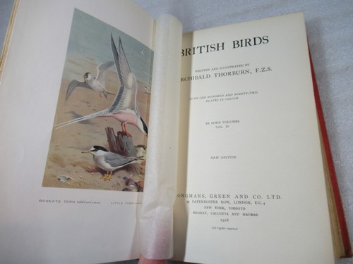 BRITISH BIRDS - Archibald Thorburn 4 Bände - 1925 Neuauflage 192 Farbtafeln - Bild 24 von 24