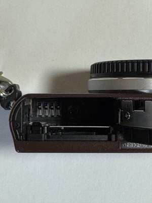 Panasonic LUMIX GM1S DMC-GM1S Brown Mirrorless Camera Body Tested