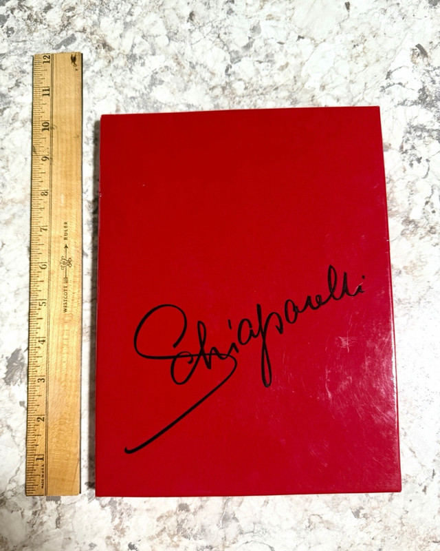 Schiaparelli Vintage Nylon Sheer Stockings  10 1/2-11-11 1/2 Medium