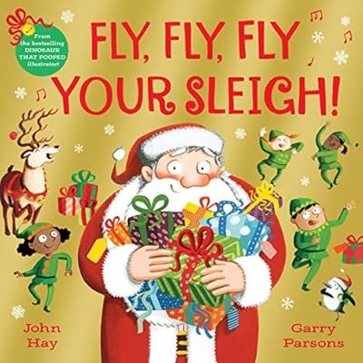 Fly, Fly, Fly Your Sleigh: A Christmas Caper!, Hay, John, Used; Good Book