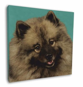toy keeshond