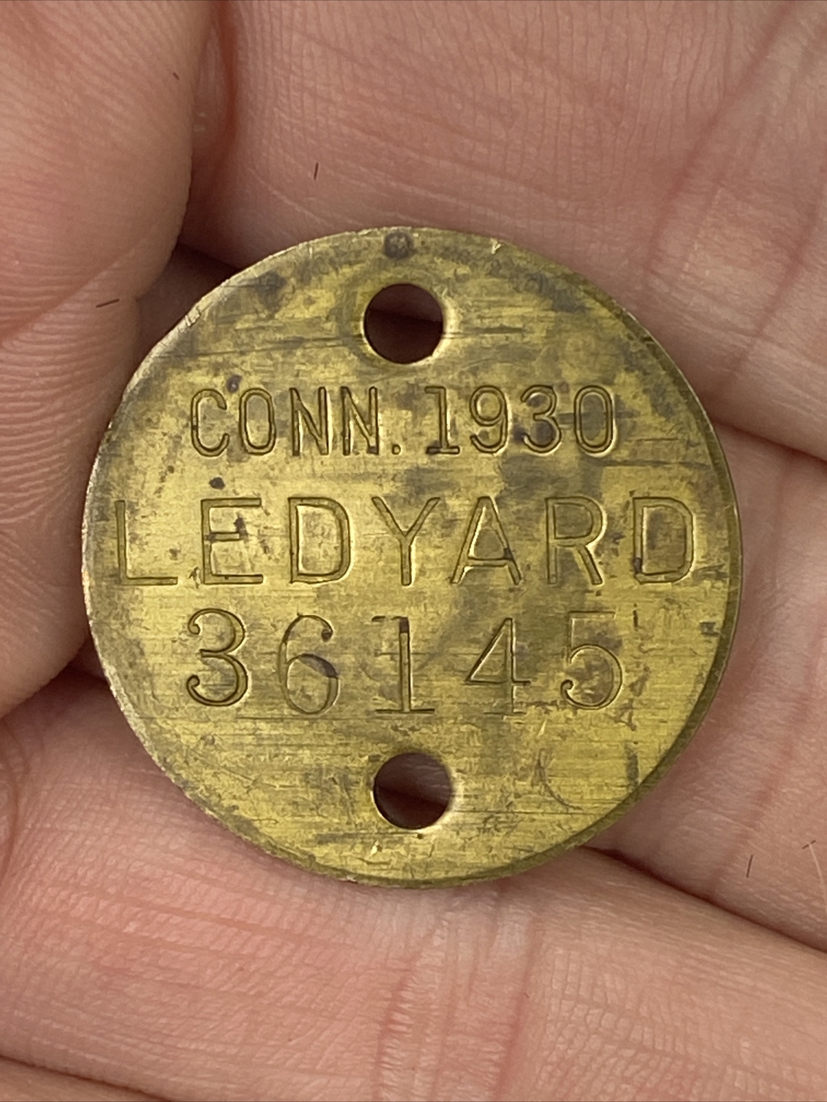 Vintage 1930 Ledyard Connecticut Dog Tag License eBay