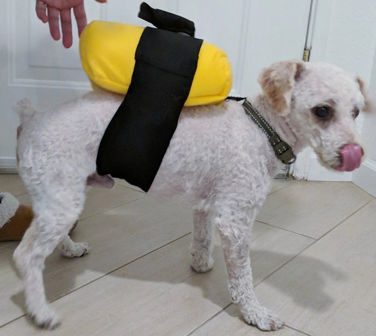 Egg Roll Sushi Dog Pet Halloween Costume