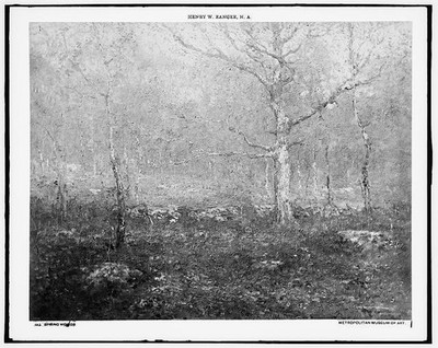 Photo:Spring woods