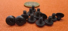 Truss Head Phillips 18-8 Stainless Black Oxide Screw 6-32 x 3/16" L, 50 Pcs