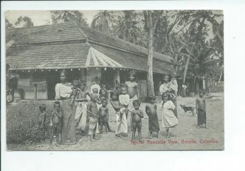 Asia Ceylon/Sri Lanka Single Unit Collectable Topographical Postcards