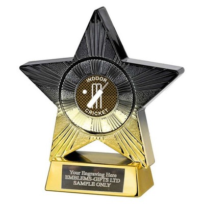 Indoor Cricket Superstar Award 110mm Trophy (SM6) Gravur gratis