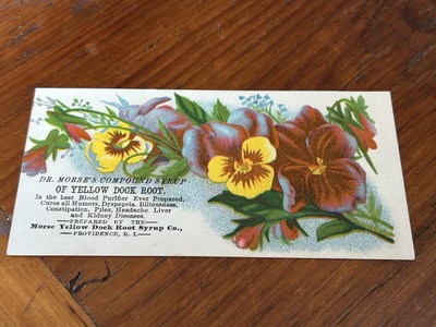 Dr Morse's Compound Syrup Yellow Dock Root Providence R.I. Quack Medicine-1G