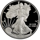 US Mint American 🇺🇸 Silver Eagle 2020 Proof 1 oz .999 Silver Coin
