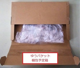 LEGO Minifigs + Flag Dragon Fortress 7419 Orient Expedition