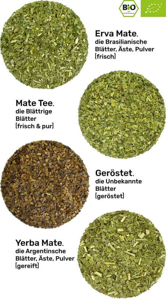 Mate Tee Probierset 100% BIO ● 4 Sorten zum Probieren ● fair & luftgetrocknet - Bild 3 von 4